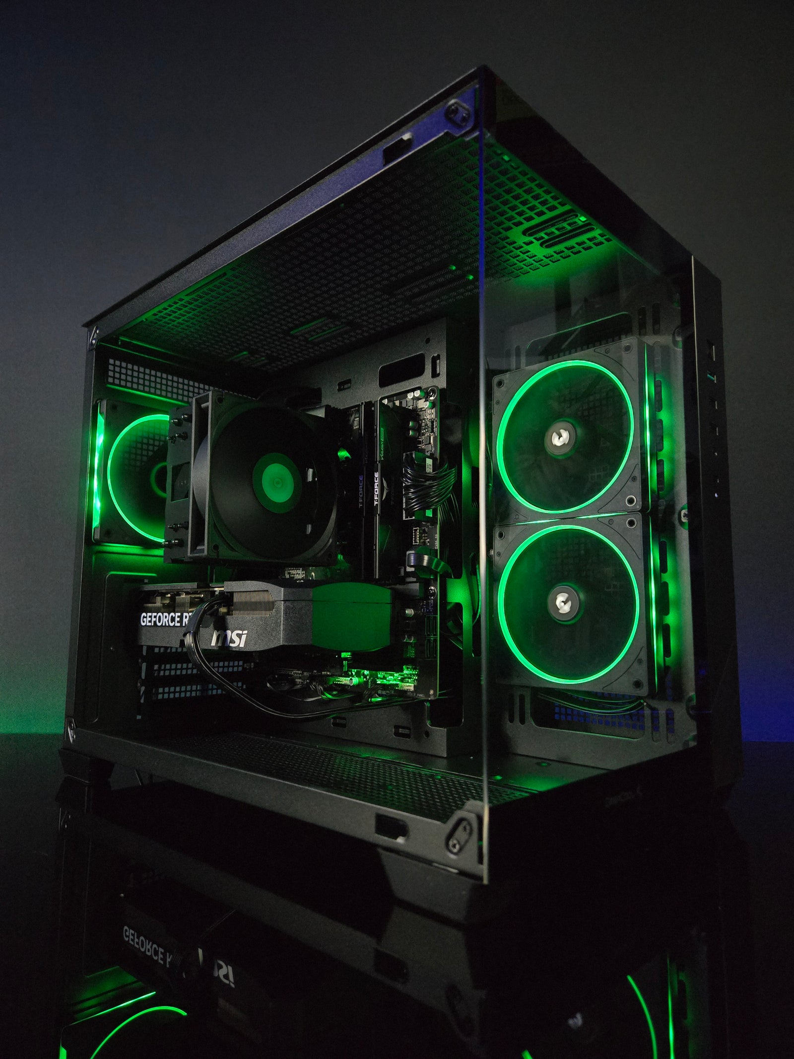 The Starter Beast