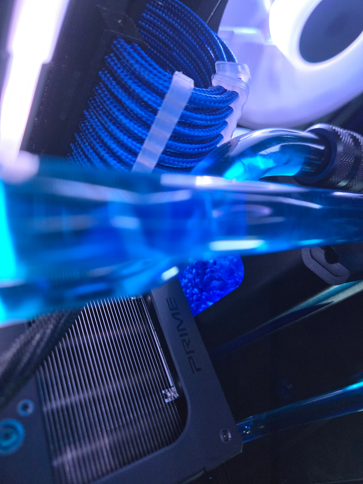 Blue Chrome Loop